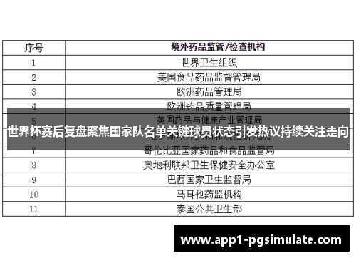 世界杯赛后复盘聚焦国家队名单关键球员状态引发热议持续关注走向 世界杯赛后复盘聚焦国家队名单关键球员状态引发热议持续关注走向