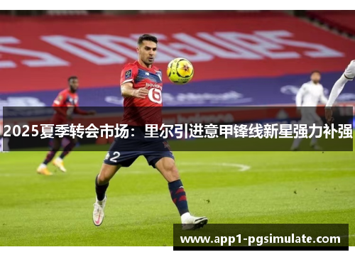 2025夏季转会市场:里尔引进意甲锋线新星强力补强 2025夏季转会市场:里尔引进意甲锋线新星强力补强